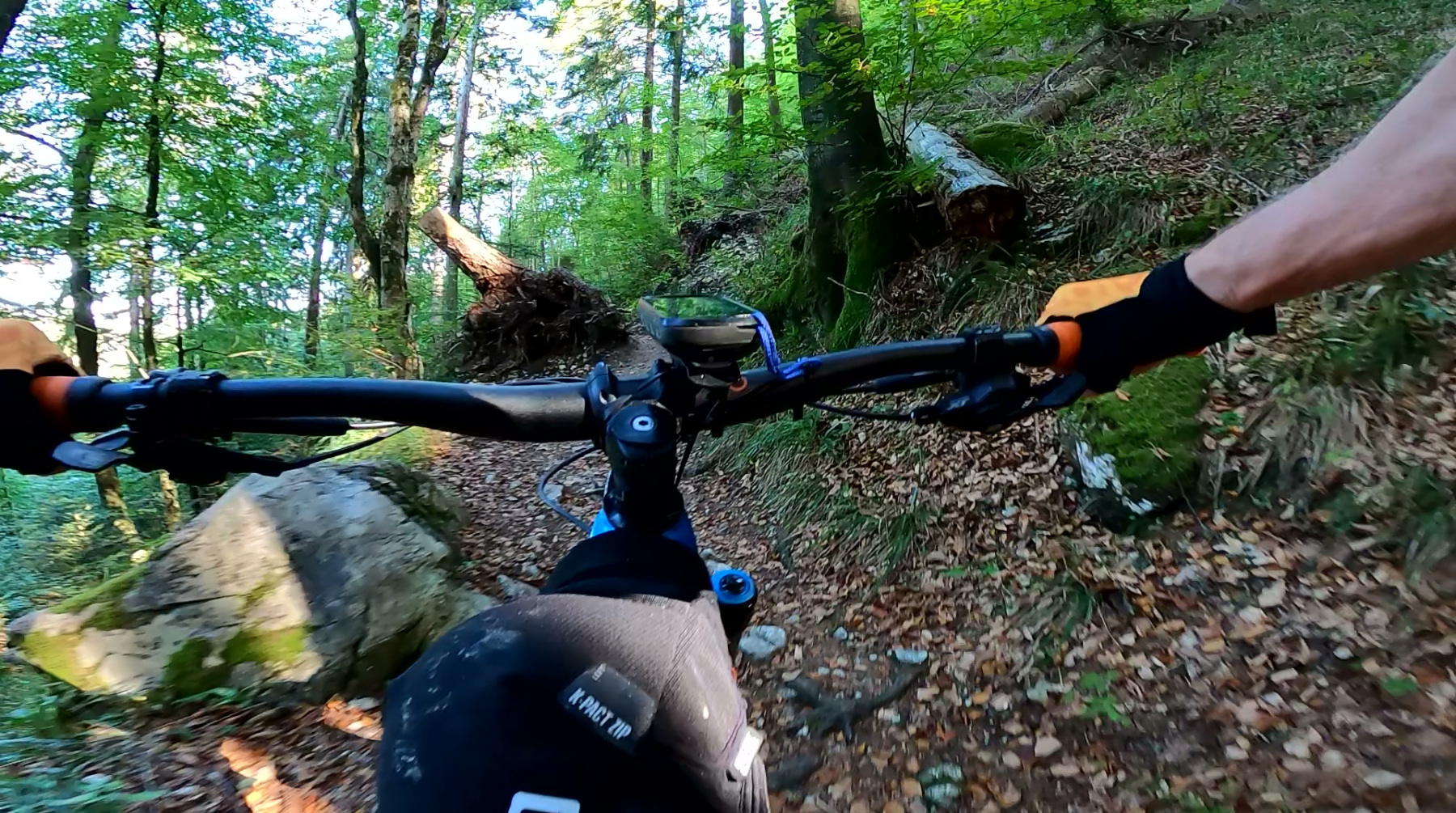 vlcsnap-2026-10-08-13h04m45s435
