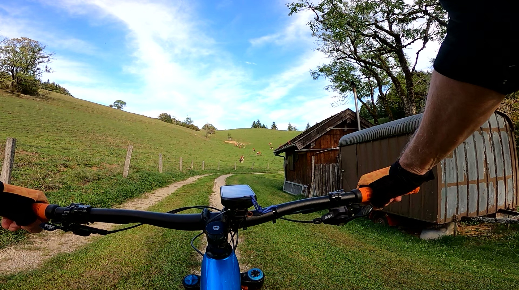 vlcsnap-2026-10-08-13h11m24s412