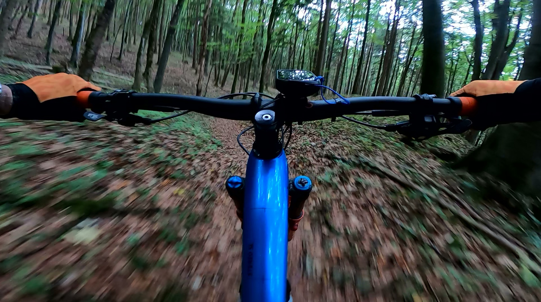 vlcsnap-2026-10-08-13h14m56s792
