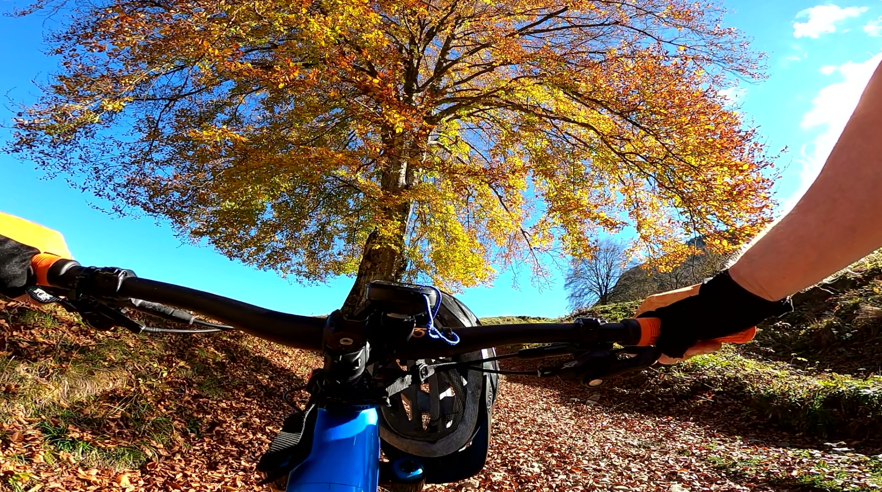 vlcsnap-2026-10-30-10h18m30s390